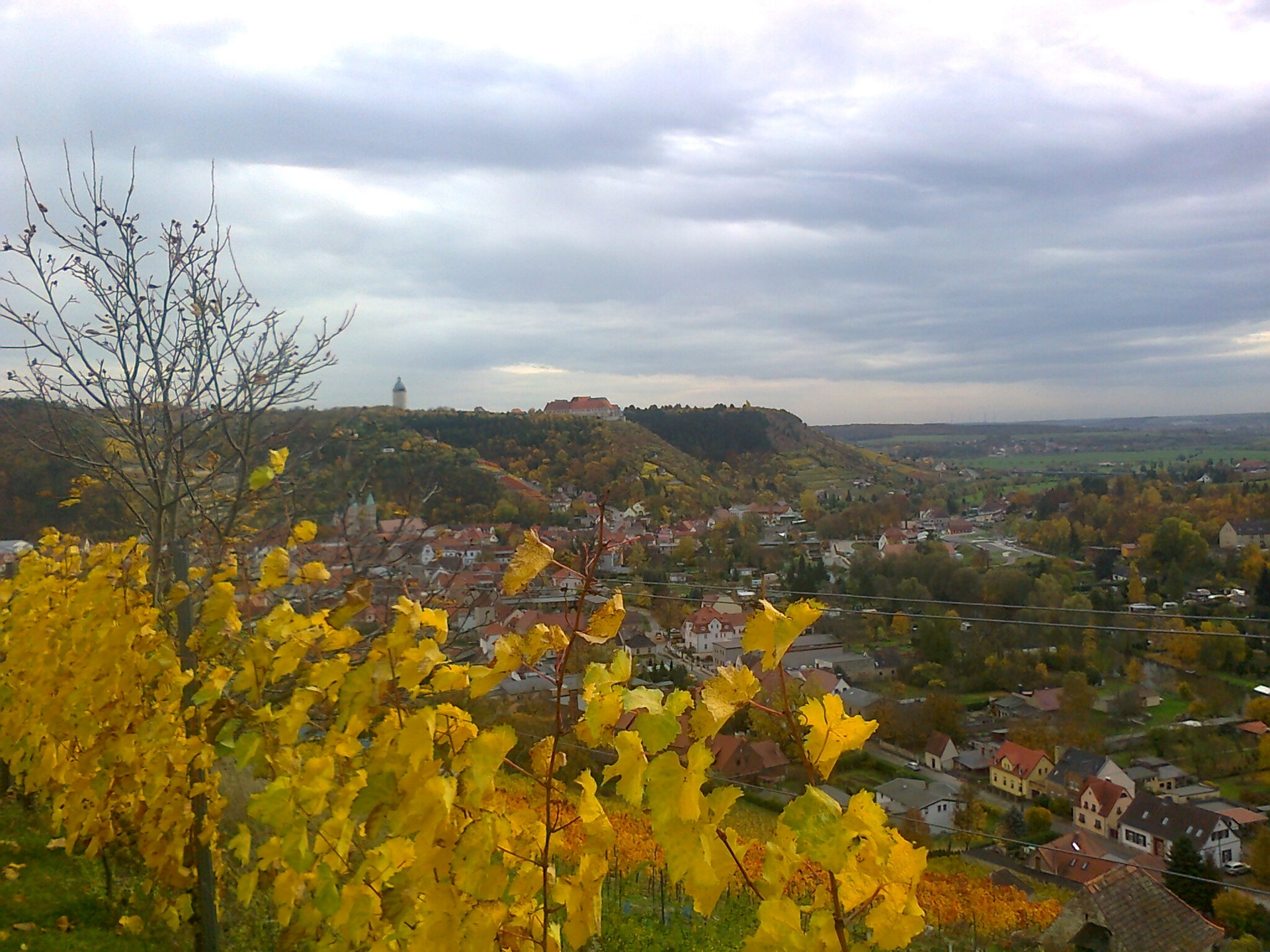 Weinberge